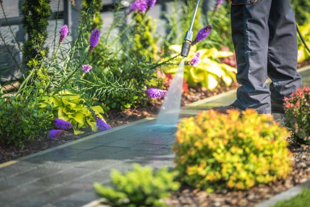Best Driveway Cleaning and Restoration in West Falls Church, VA